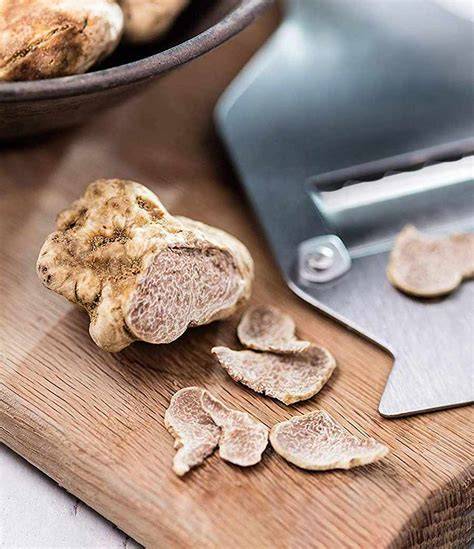 Frische weiße Trüffel auf Holzbrett
