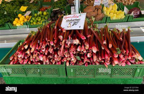 Frischer Rhabarber auf dem Markt