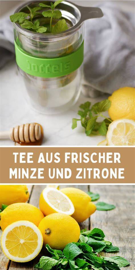 Frischer Zitronenthymian und Minze