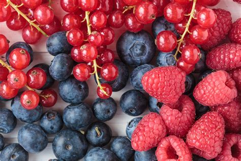 Fruchtschnitten-Varianten: Zwetschgen, Quitten, Beeren im Vergleich