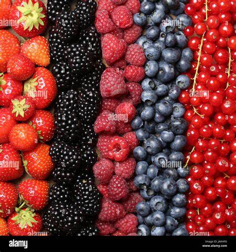 Fruchtvarianten: Erdbeeren, Heidelbeeren, Himbeeren