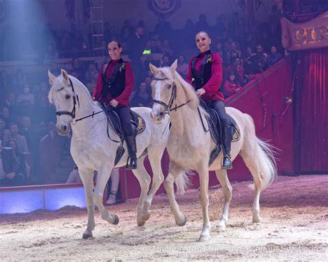 Fumagalli in der Manege: Drei nach oben geföhnte Haarbüschel, rote Nase, übergroße Schuhe