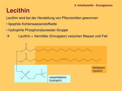 Funktion von Lecithin als Emulgator