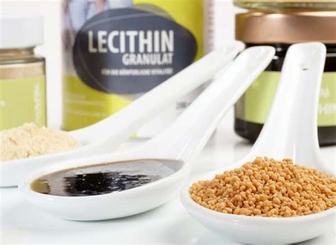Funktion von Lecithin in Lebensmitteln