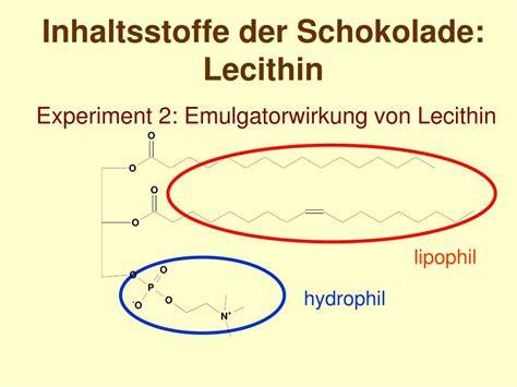 Funktionsweise von Invertase und Lecithin in Schokolade und Füllungen