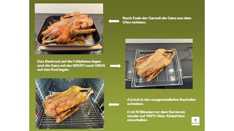 Gänsebraten im Ofen auf dem Backofengitter mit Backblech darunter