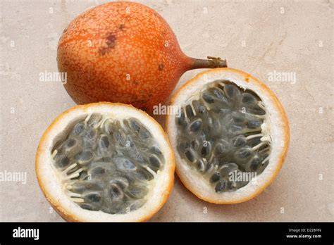 Galiamelone Frucht mit Schale und Fruchtfleisch