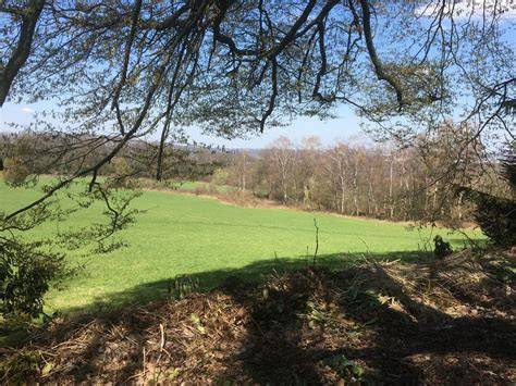 Gartensuite mit Blick ins Grüne