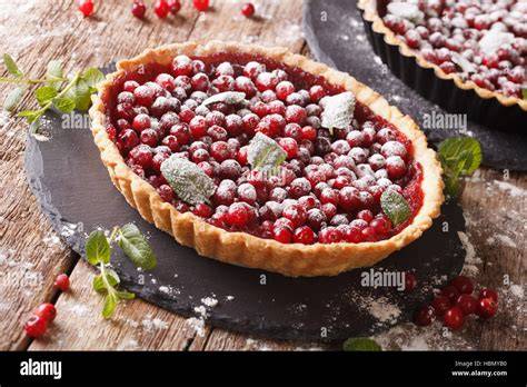 Gebackene Johannisbeer-Torte mit Puderzucker und Minze