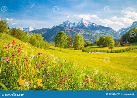 Gebirgslandschaft mit blühenden Wiesen und Bienen