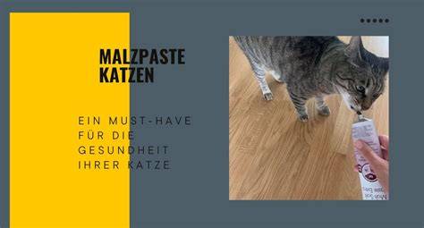 Gebrauchsanleitung Malzpaste Katze