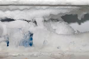 Gefüllte Eisform im Tiefkühler
