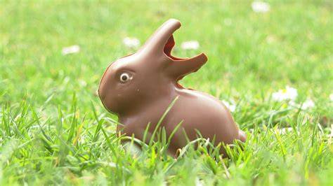 Gefüllte laktosefreie Schoko-Osterhasen