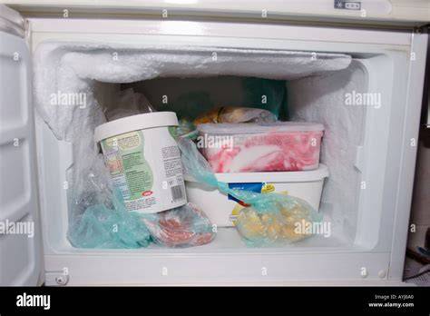 Gefrierbehälter mit selbstgemachtem Eis im Gefrierschrank