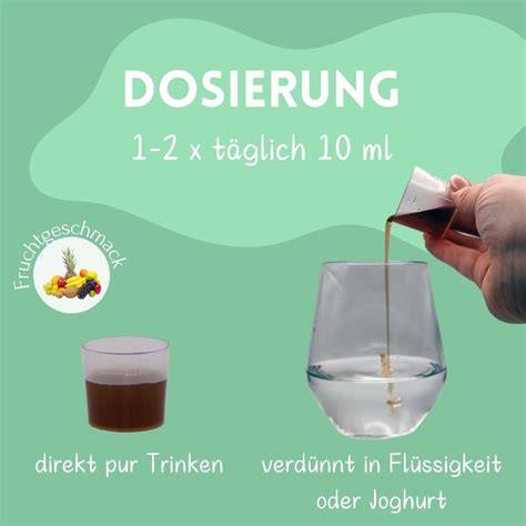 Gefrierprozess für zuckerfreien Saft (Praxistipps)