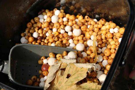 Gekochte Tigernüsse im Eimer zur Fermentation