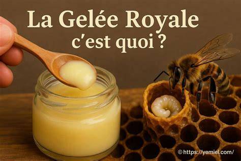 Gelée Royale in Königinnenzelle