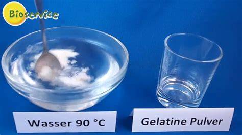 Gelatine Verarbeitung für Cremes