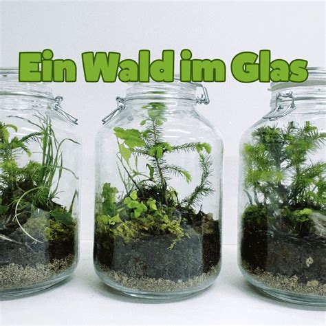 Gerührte Eisbasis im Glas