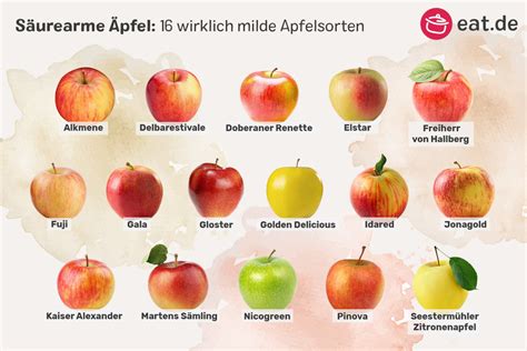 Geschnittene Äpfel und verschiedene Apfelsorten
