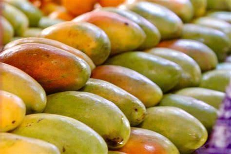 Geschnittene Boskop-Äpfel, Textur des Fruchtfleischs und Backeigenschaften