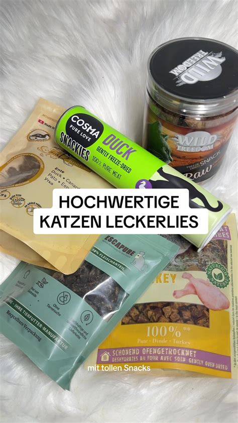 Gesunde Katzensnacks und Alternativen zu Schokolade