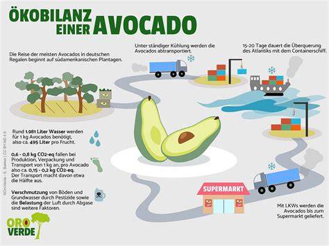 Gesunde Nährstoffquellen der Avocado-Schokoladencreme in einer Infografik