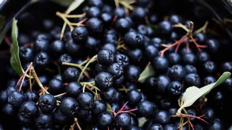 Gesundheitliche Vorteile und Nährstoffe der Aroniabeere