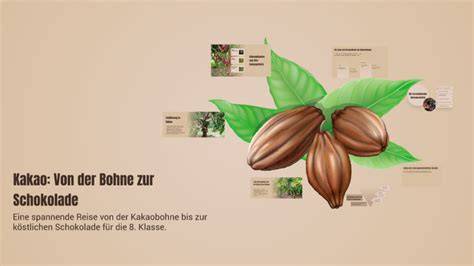 Gesundheitsstudien zur Schokolade