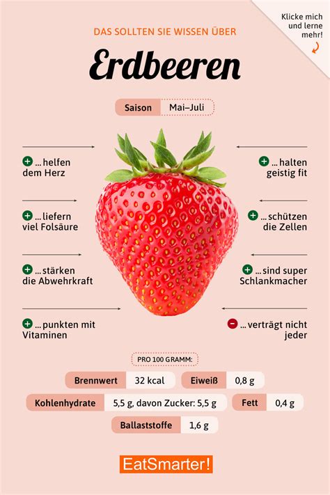 Gesundheitsvorteile und Sortenvielfalt der Erdbeere