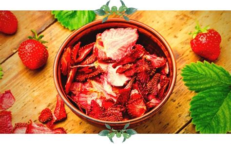 Getrocknete Früchte vs. frische Erdbeeren