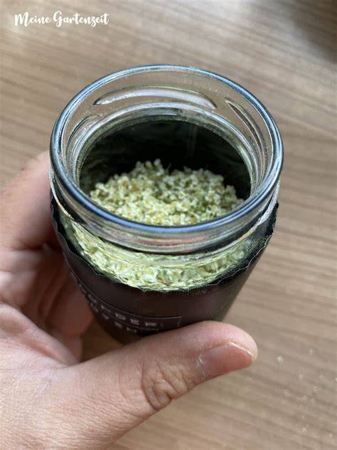 Getrocknete Holunderblüten im Einmachglas