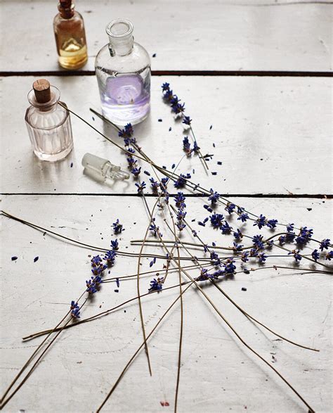 Getrocknete Lavendelblüten in Glasgefäß und Lavendel-Kuvertüre