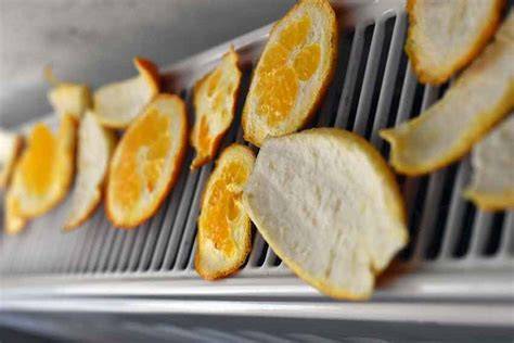 Getrocknete Orangenschalen im Mixer