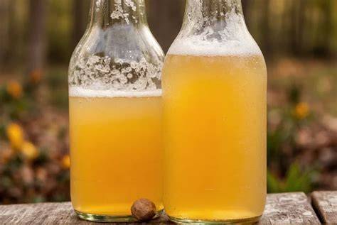Ginger Beer in Bügelflaschen mit Kohlensäure
