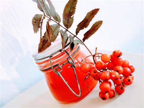 Gläser mit Vogelbeerenmarmelade