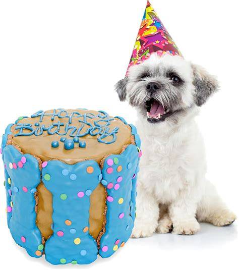 Glückliche Hunde mit Geburtstagstorte, Tierkuchen mit Deko