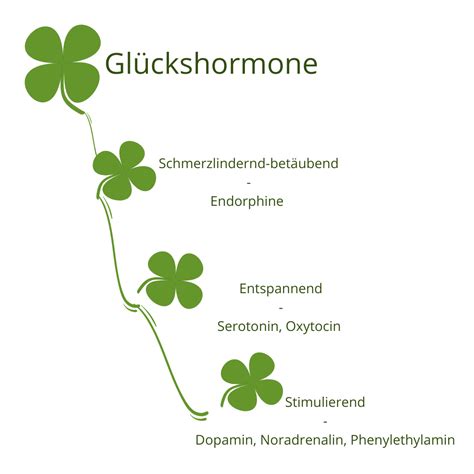 Glückshormone durch Schokolade