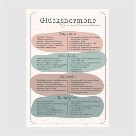 Glückshormone und Schokolade - Infografik