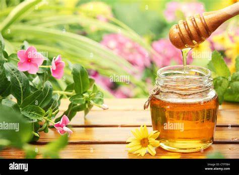 Glas Melipona-Honig mit Löffel und tropischen Blüten