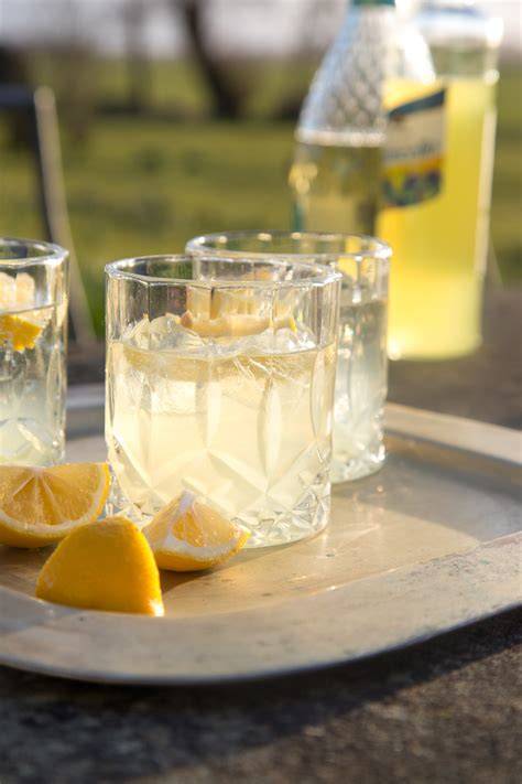 Glas mit spritziger Fenchelsirup-Limonade