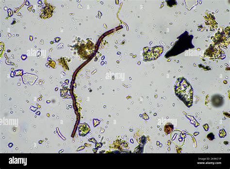 Glasur im Detail: Fließspecks und Oberflächenstruktur unter dem Mikroskop