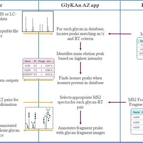 Glykan-Mikroarray-Schema