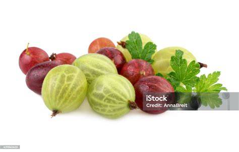 Grüne und rote Stachelbeeren - Übersicht