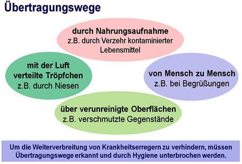 Grafik: Übertragungswege von Botulismus