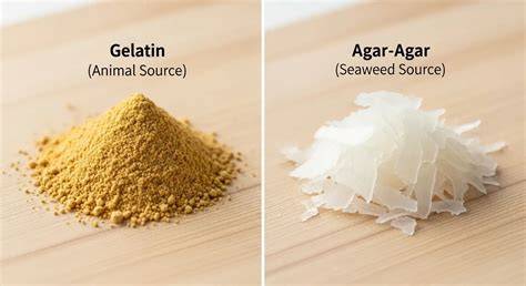 Grafik: Agar Agar versus Gelatine (pflanzlich/klassisch)