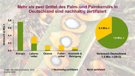 Grafik: Anteil von Zucker, Palmöl, Haselnüssen und Kakao im Produkt