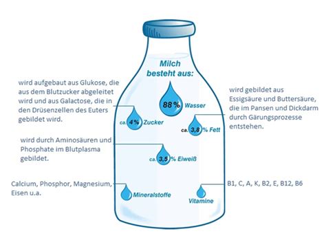 Grafik: Aufbau und typische Zutaten, die Konsistenz beeinflussen (Milcheiweiß, Stärke, Carrageen)