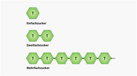 Grafik: Aufbau verschiedener Zuckerarten vs. komplexe Kohlenhydrate