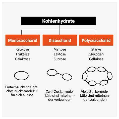 Grafik: Aufnahmegeschwindigkeit von Kohlenhydraten - Traubenzucker vs. Schokolade